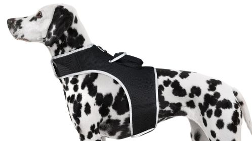 Personal Pet GPS Collar Tracker Quadband Water Proof Tracking Device Size:S