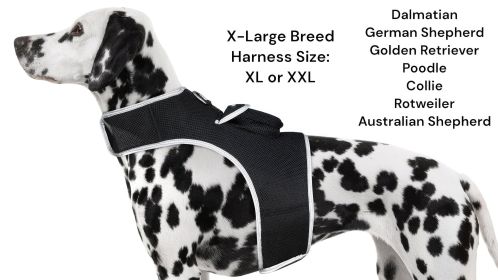 Pet Security Mini GSM GPS Collars for Dogs Realtime Waterproof Tracker Size:S