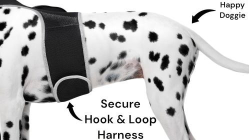 Pet Collar Wireless GSM GPS Tracking Portable Mini Real-time Tracker Size:S