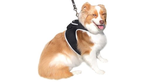 Pet Tracker - Wireless Tracking Pocket Pet GPS Tracker Cat Collar Tracker Size:S