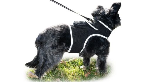 Pet Tracker GSM Locator Cat/Dog Animarl Protection Security Tracking Size:S