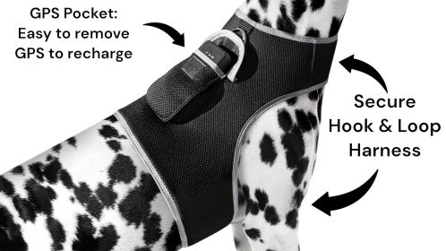 Pet Tracker Realtime GPS Tracking System for Dogs Collar Attach GSM Tracking Device Size:S