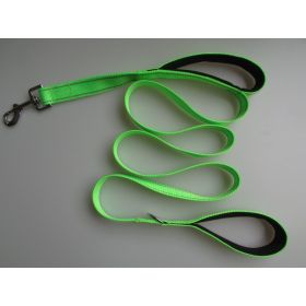 Pet Double Handle Pull Leash (Option: GREEN)